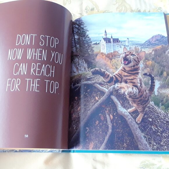 Travels of Suki the Adventure Cat - Picture 5 of 7